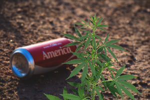 COCACOLA PLANNING TO PRODUCE CANNABIS INFUSED BEVERAGES
