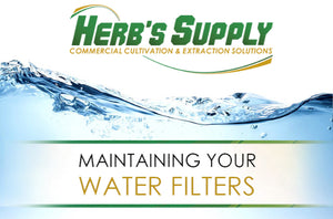 Maintaining Your Water Filters
